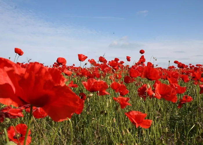 Cozy Retreat In Lejlighed